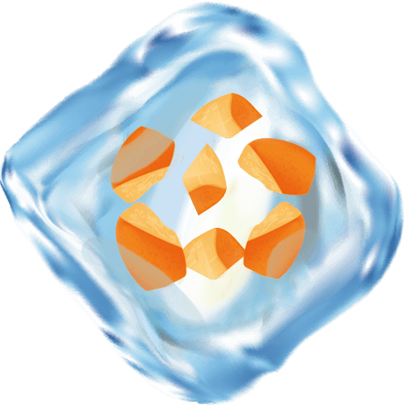 Morceaux d'abricots