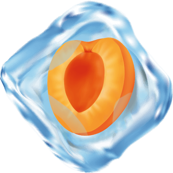 Oreillons d'abricots